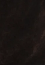 COL-CL1083511_Q1.V3_DN45319 - - - CL1083511_Q1.V3_DN45319 - 7